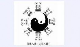 爆料八卦类小说推荐最新,神秘总裁的禁忌爱恋