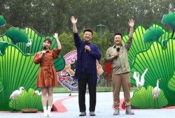 环球公馆爆料视频大全最新,揭秘幕后真相，带你走进神秘世界