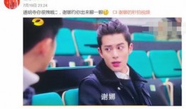 王鹤棣站姐爆料最新,站姐爆料揭秘幕后故事