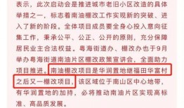 华润最新爆料,揭秘行业巨头背后的秘密与挑战”