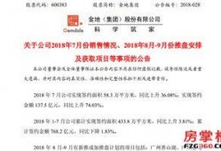 华润最新爆料,揭秘行业巨头背后的秘密与挑战”